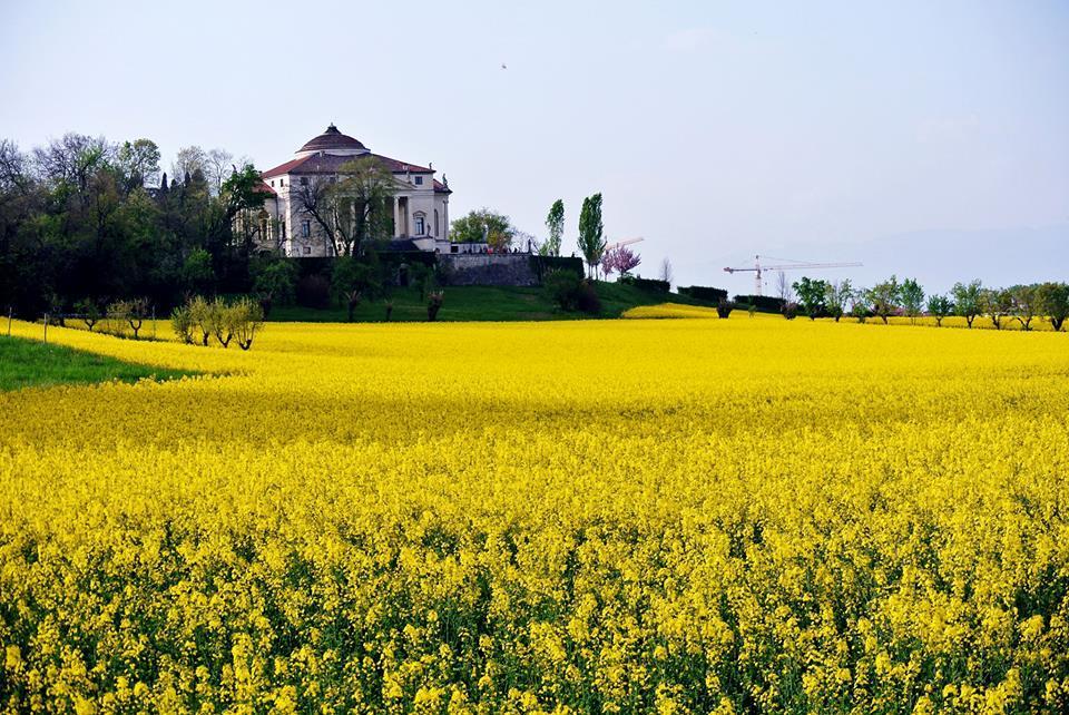 Agriturismo Sartori Terenzio Quinto Vicentino Exterior foto